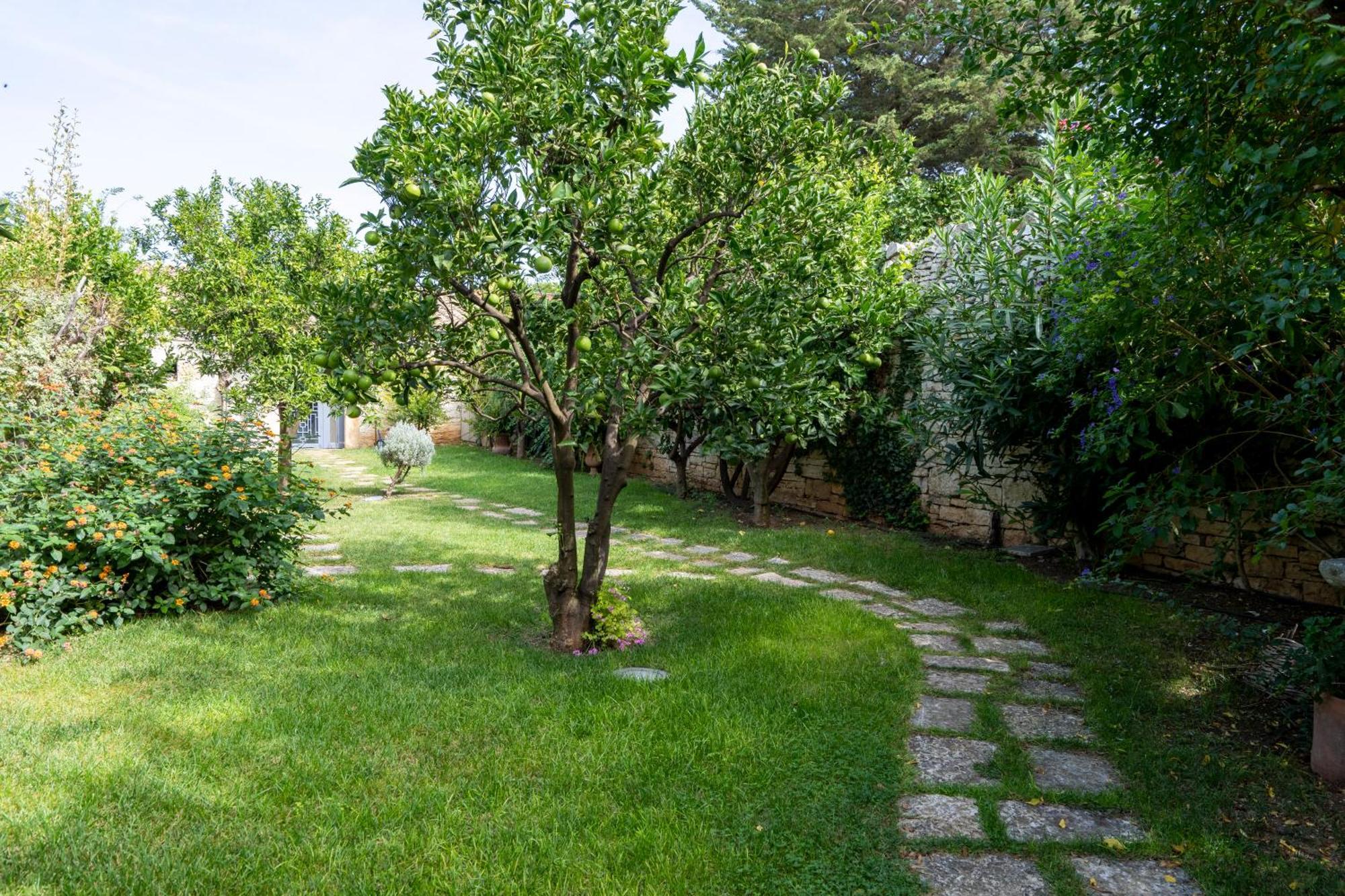 Domus Templaris Bed & Breakfast Terlizzi Eksteriør bilde